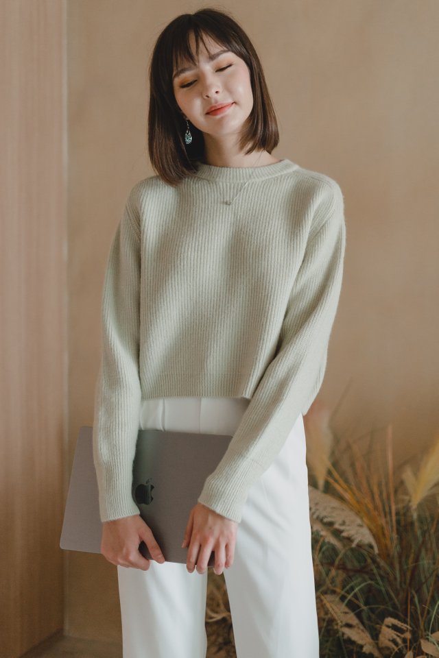 ACW Basic Long Sleeve Crop Knit Top in Soft Mint 
